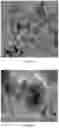 Fig. 02 - A COMPOSITE MATERIAL AND A METHOD TO PREPARE THE COMPOSITE