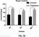 Fig. 03 - METHOD FOR PRODUCING ORGANIC FERTILIZER ENABLING INCREASED MICROBIAL DIVERSITY AND ABUNDANCE IN SOIL, AND USE OF THE ORGANIC FERTILIZER