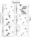 Fig. 05 - METHOD FOR PRODUCING ORGANIC FERTILIZER ENABLING INCREASED MICROBIAL DIVERSITY AND ABUNDANCE IN SOIL, AND USE OF THE ORGANIC FERTILIZER
