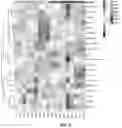 Fig. 06 - METHOD FOR PRODUCING ORGANIC FERTILIZER ENABLING INCREASED MICROBIAL DIVERSITY AND ABUNDANCE IN SOIL, AND USE OF THE ORGANIC FERTILIZER