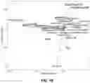 Fig. 11 - METHOD FOR PRODUCING ORGANIC FERTILIZER ENABLING INCREASED MICROBIAL DIVERSITY AND ABUNDANCE IN SOIL, AND USE OF THE ORGANIC FERTILIZER