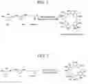 Fig. 02 - Pyrogallol[2]resorcin[2]arene