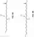 Fig. 06 - Compositions and methods of preparation thereof