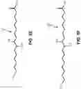 Fig. 08 - Compositions and methods of preparation thereof