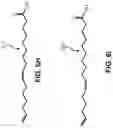 Fig. 12 - Compositions and methods of preparation thereof