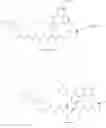 Fig. 125 - MACROCYCLIC BROAD SPECTRUM ANTIBIOTICS