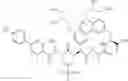 Fig. 198 - MACROCYCLIC BROAD SPECTRUM ANTIBIOTICS