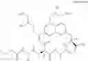 Fig. 21 - MACROCYCLIC BROAD SPECTRUM ANTIBIOTICS