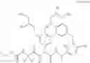 Fig. 23 - MACROCYCLIC BROAD SPECTRUM ANTIBIOTICS