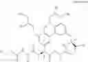 Fig. 24 - MACROCYCLIC BROAD SPECTRUM ANTIBIOTICS