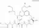 Fig. 25 - MACROCYCLIC BROAD SPECTRUM ANTIBIOTICS