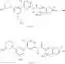 Fig. 49 - BIARYL AMIDE COMPOUNDS, PREPARATION METHODS AND MEDICAL APPLICATIONS THEREOF