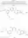 Fig. 62 - BIARYL AMIDE COMPOUNDS, PREPARATION METHODS AND MEDICAL APPLICATIONS THEREOF