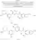 Fig. 64 - BIARYL AMIDE COMPOUNDS, PREPARATION METHODS AND MEDICAL APPLICATIONS THEREOF