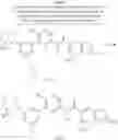 Fig. 66 - BIARYL AMIDE COMPOUNDS, PREPARATION METHODS AND MEDICAL APPLICATIONS THEREOF
