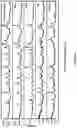 Fig. 30 - Crystalline forms of piperazine-1,4-diylbis((6-(1H-benzo[d]imidazo-2-yl)pyridin-2yl)methanone)