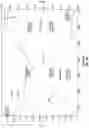 Fig. 38 - Crystalline forms of piperazine-1,4-diylbis((6-(1H-benzo[d]imidazo-2-yl)pyridin-2yl)methanone)
