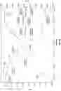 Fig. 43 - Crystalline forms of piperazine-1,4-diylbis((6-(1H-benzo[d]imidazo-2-yl)pyridin-2yl)methanone)