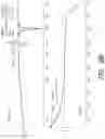 Fig. 05 - Polymorphs of Selinexor