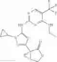 Fig. 217 - Compounds, compositions, and methods