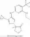 Fig. 334 - Compounds, compositions, and methods