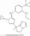 Fig. 339 - Compounds, compositions, and methods