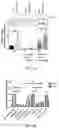 Fig. 08 - Treatment of neurological disorders