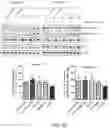 Fig. 16 - Treatment of neurological disorders