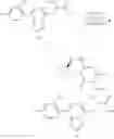 Fig. 108 - IMIDAZOPYRIDINE DERIVATIVES