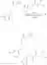 Fig. 76 - MAGL inhibitors
