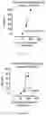 Fig. 03 - DEUTERATED MITRAGYNINE ANALOGS AS SAFER OPIOID MODULATORS IN THE MITRAGYNINE CLASS