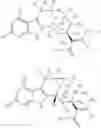 Fig. 24 - DEUTERATED MITRAGYNINE ANALOGS AS SAFER OPIOID MODULATORS IN THE MITRAGYNINE CLASS