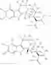 Fig. 25 - DEUTERATED MITRAGYNINE ANALOGS AS SAFER OPIOID MODULATORS IN THE MITRAGYNINE CLASS