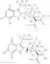 Fig. 26 - DEUTERATED MITRAGYNINE ANALOGS AS SAFER OPIOID MODULATORS IN THE MITRAGYNINE CLASS