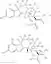 Fig. 29 - DEUTERATED MITRAGYNINE ANALOGS AS SAFER OPIOID MODULATORS IN THE MITRAGYNINE CLASS