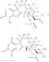 Fig. 31 - DEUTERATED MITRAGYNINE ANALOGS AS SAFER OPIOID MODULATORS IN THE MITRAGYNINE CLASS