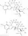 Fig. 32 - DEUTERATED MITRAGYNINE ANALOGS AS SAFER OPIOID MODULATORS IN THE MITRAGYNINE CLASS