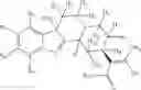 Fig. 42 - DEUTERATED MITRAGYNINE ANALOGS AS SAFER OPIOID MODULATORS IN THE MITRAGYNINE CLASS
