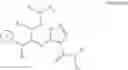 Fig. 19 - TYK2 PSEUDOKINASE LIGANDS