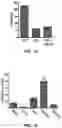Fig. 09 - COMPOUNDS AND METHODS FOR TARGETING HSP90