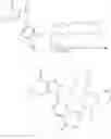 Fig. 20 - COMPOUNDS AND METHODS FOR TARGETING HSP90
