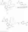 Fig. 28 - COMPOUNDS AND METHODS FOR TARGETING HSP90