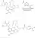 Fig. 30 - COMPOUNDS AND METHODS FOR TARGETING HSP90