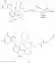 Fig. 48 - COMPOUNDS AND METHODS FOR TARGETING HSP90