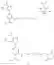 Fig. 54 - COMPOUNDS AND METHODS FOR TARGETING HSP90