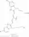 Fig. 66 - COMPOUNDS AND METHODS FOR TARGETING HSP90