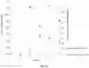 Fig. 30 - Solid forms of isoquinolinones, and process of making, composition comprising, and methods of using the same