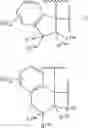Fig. 10 - Dihydropyrazolopyrazinone derivative having MGAT2 inhibitory activity