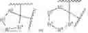 Fig. 24 - Dihydropyrazolopyrazinone derivative having MGAT2 inhibitory activity