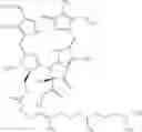 Fig. 11 - HYDROXYPHEOPHORBIDE COMPOUNDS, METHODS AND USES THEREOF